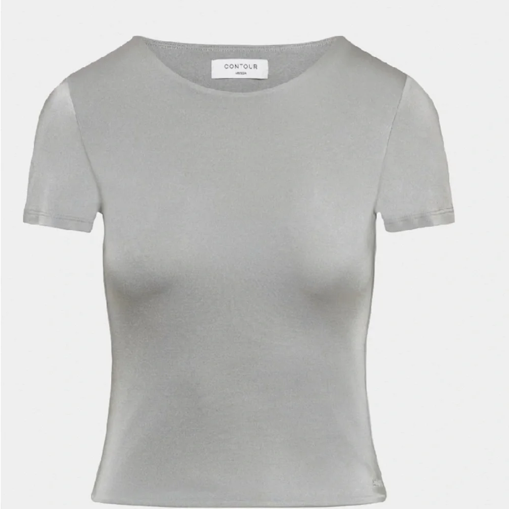 Aritzia Contour Metallic Crew Neck T-Shirt - Picture 6 of 12